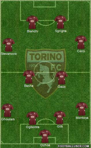 Torino Formation 2013