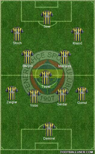 Fenerbahçe SK Formation 2013