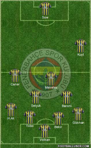 Fenerbahçe SK Formation 2013