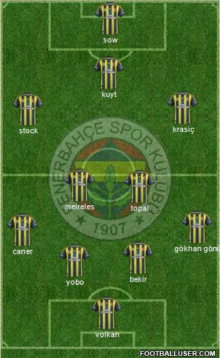 Fenerbahçe SK Formation 2013
