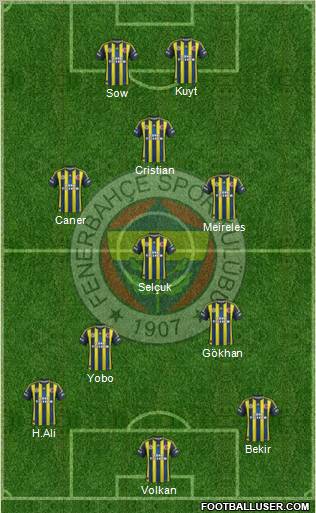 Fenerbahçe SK Formation 2013