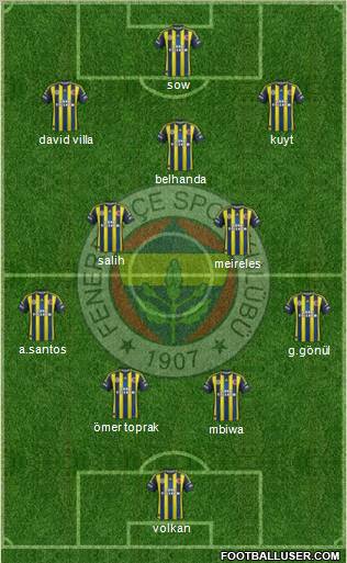 Fenerbahçe SK Formation 2013