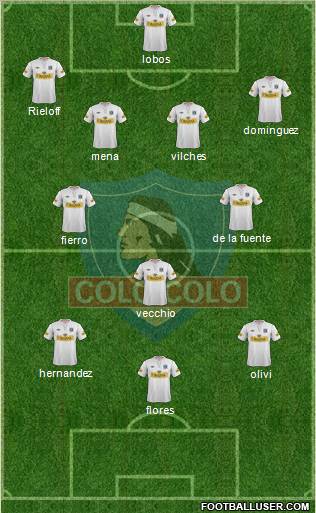 CSD Colo Colo Formation 2013
