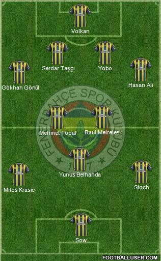 Fenerbahçe SK Formation 2013
