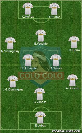 CSD Colo Colo Formation 2013