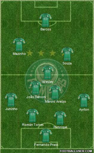 SE Palmeiras Formation 2013