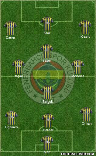 Fenerbahçe SK Formation 2013
