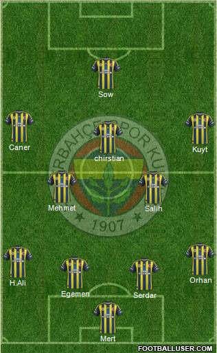 Fenerbahçe SK Formation 2013