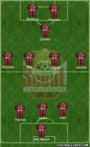 FC Seoul Formation 2013