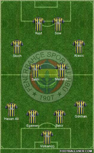 Fenerbahçe SK Formation 2013