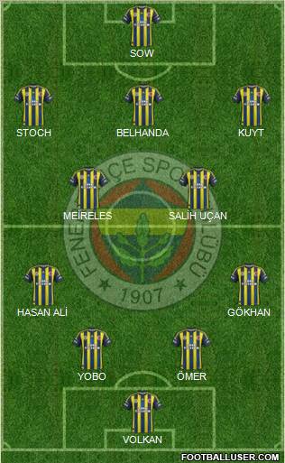 Fenerbahçe SK Formation 2013