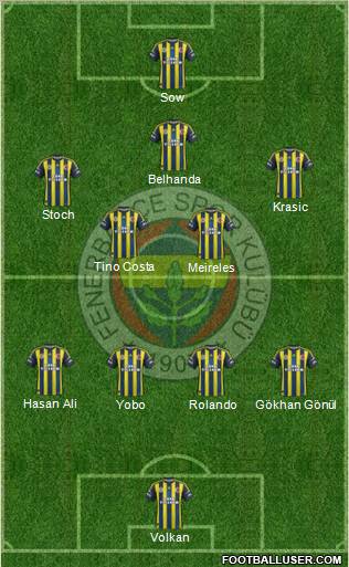 Fenerbahçe SK Formation 2013