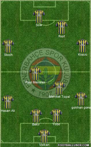 Fenerbahçe SK Formation 2013