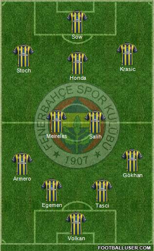 Fenerbahçe SK Formation 2013