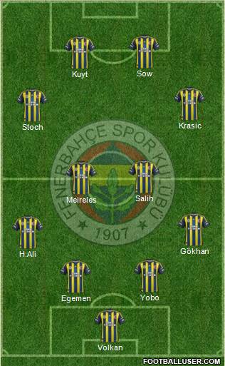 Fenerbahçe SK Formation 2013