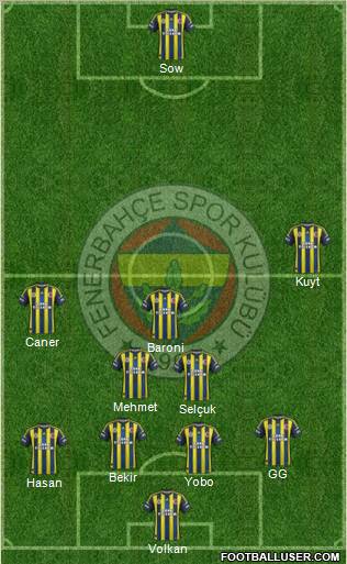 Fenerbahçe SK Formation 2013