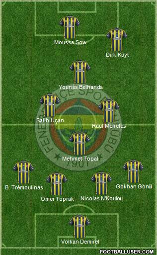 Fenerbahçe SK Formation 2013