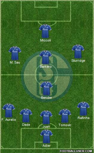 FC Schalke 04 Formation 2013