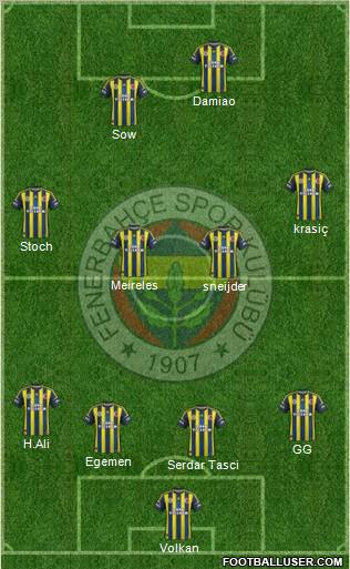 Fenerbahçe SK Formation 2013