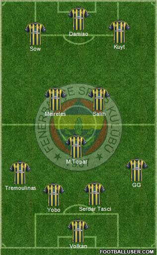 Fenerbahçe SK Formation 2013