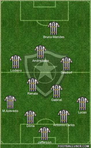Botafogo FR Formation 2013