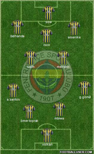 Fenerbahçe SK Formation 2013