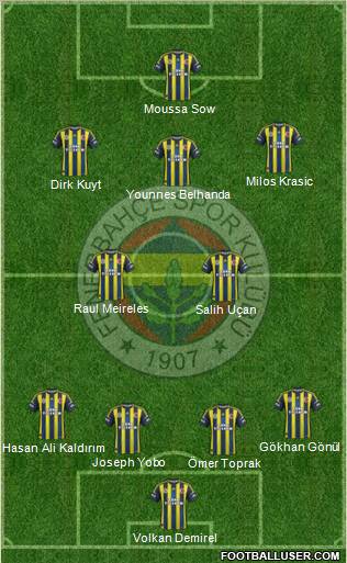 Fenerbahçe SK Formation 2013
