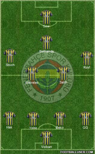 Fenerbahçe SK Formation 2013