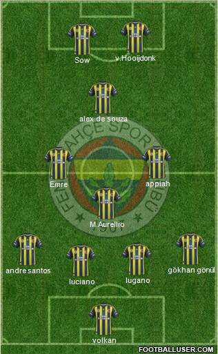 Fenerbahçe SK Formation 2013