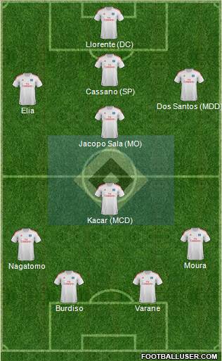 Hamburger SV Formation 2013