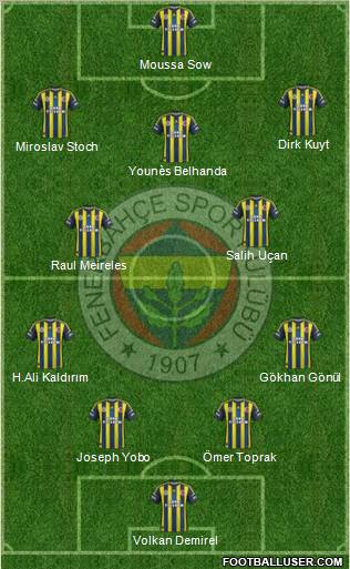 Fenerbahçe SK Formation 2013