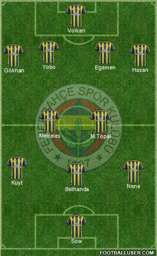 Fenerbahçe SK Formation 2013
