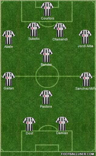 Newcastle United Formation 2013