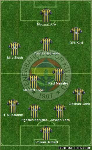 Fenerbahçe SK Formation 2013
