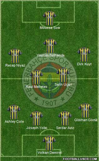 Fenerbahçe SK Formation 2013