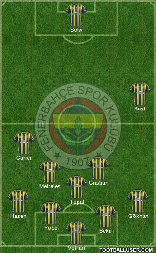 Fenerbahçe SK Formation 2013
