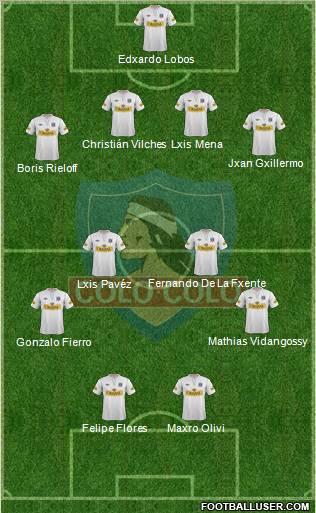 CSD Colo Colo Formation 2013