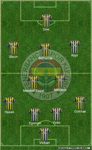 Fenerbahçe SK Formation 2013