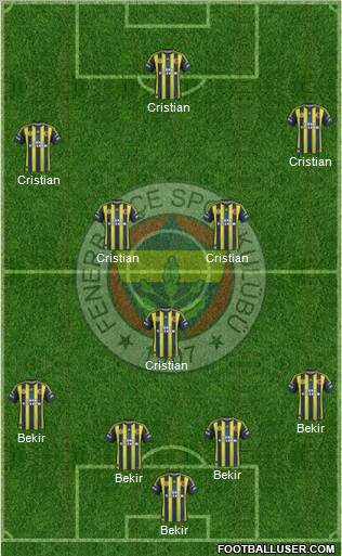 Fenerbahçe SK Formation 2013