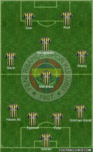 Fenerbahçe SK Formation 2013