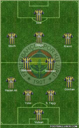 Fenerbahçe SK Formation 2013