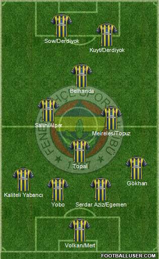 Fenerbahçe SK Formation 2013