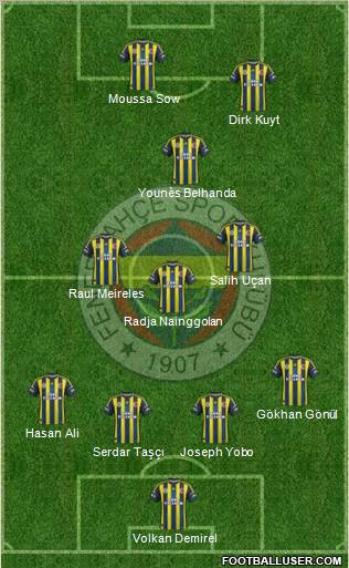 Fenerbahçe SK Formation 2013
