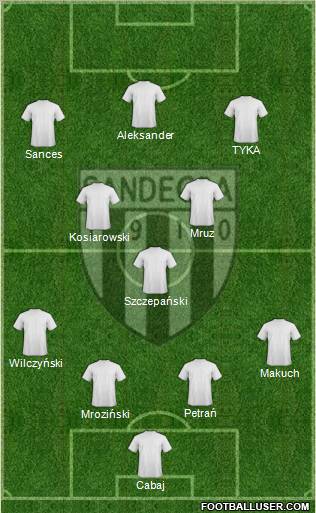 Sandecja Nowy Sacz Formation 2013