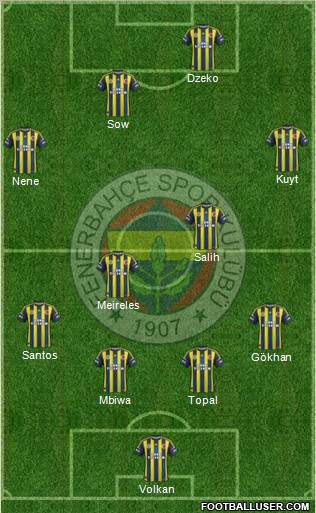 Fenerbahçe SK Formation 2013