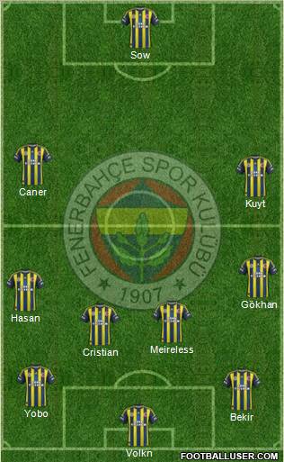 Fenerbahçe SK Formation 2013