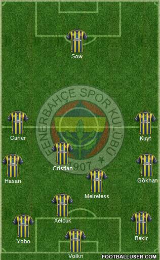 Fenerbahçe SK Formation 2013
