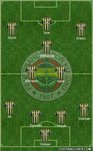Fenerbahçe SK Formation 2013