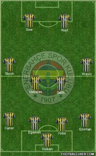 Fenerbahçe SK Formation 2013