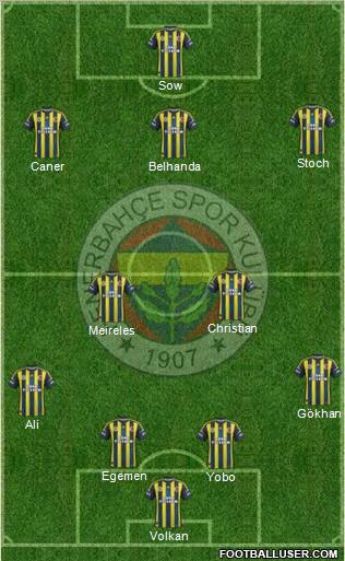 Fenerbahçe SK Formation 2013